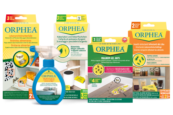 box-ORPHEA_PROTECTION_DE_LA_MAISON_150621